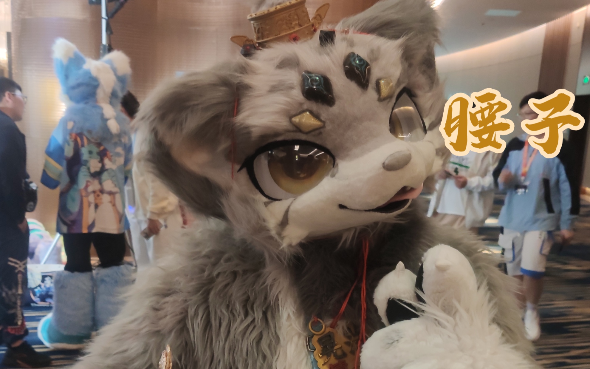 梦兽 限定夜场返