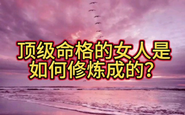 女人哔哩哔哩bilibili