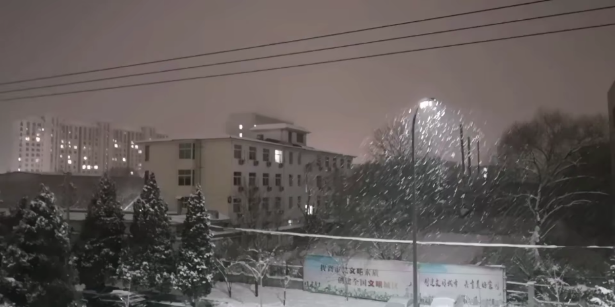 [图]落雪纷纷似飞花微风款款入人家穿庭绕树满枝压静待雪后冒新芽