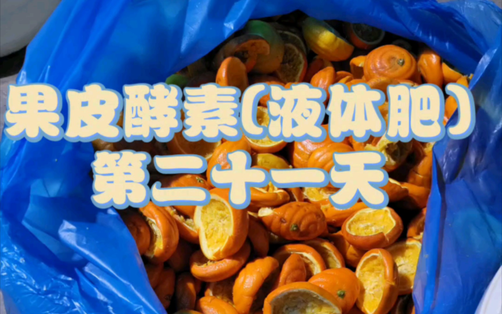 果皮酵素(液体肥)