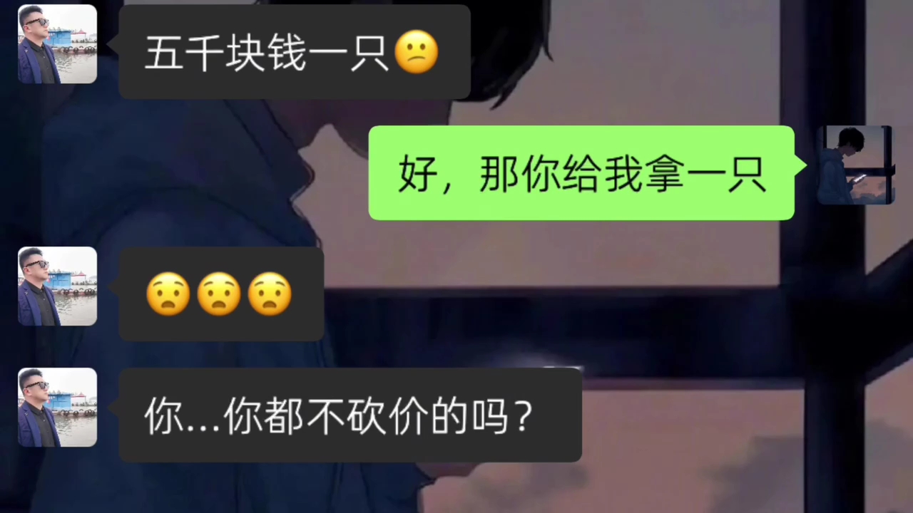 讨价还价哔哩哔哩bilibili