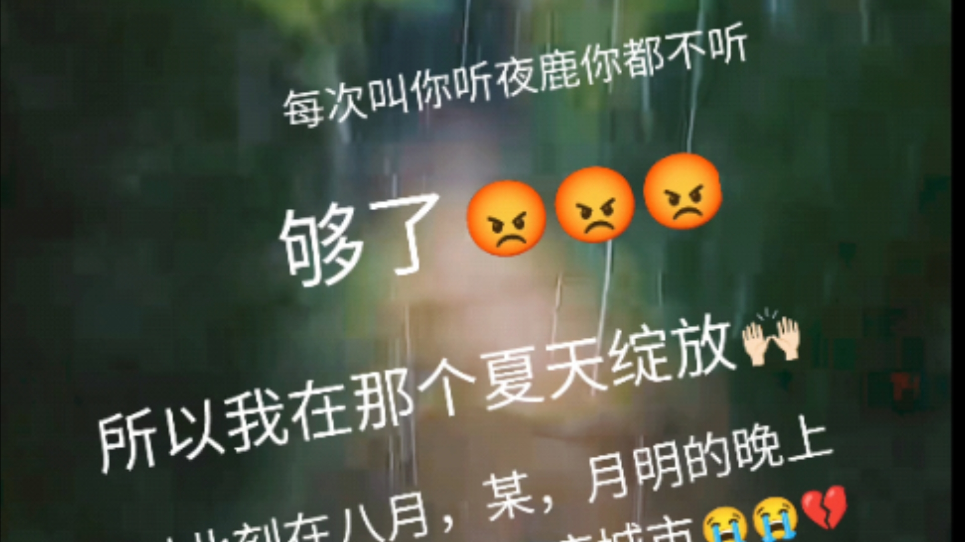 可惜你不听夜鹿,也不懂我的那如同花绿青的人生哔哩哔哩bilibili