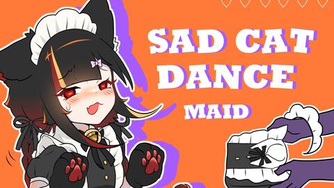 sad cat dance。_哔哩哔哩_bilibili