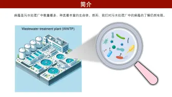 iMeta | 清华李炳组联合宏病毒组和宏基因组解译污水厂病毒圈
