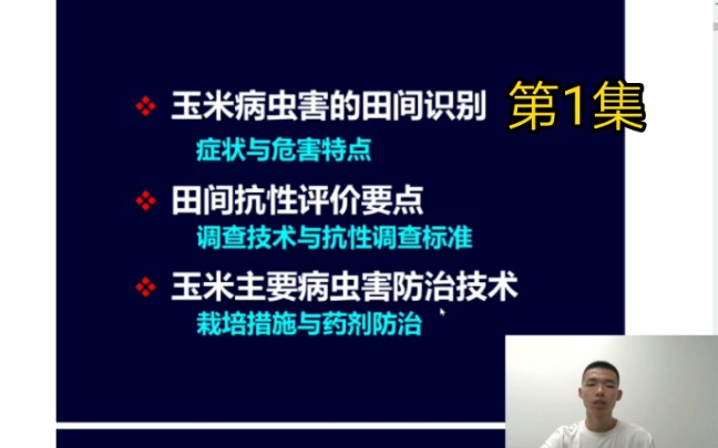 玉米病虫害知识第一集 病虫害的田间识别哔哩哔哩bilibili