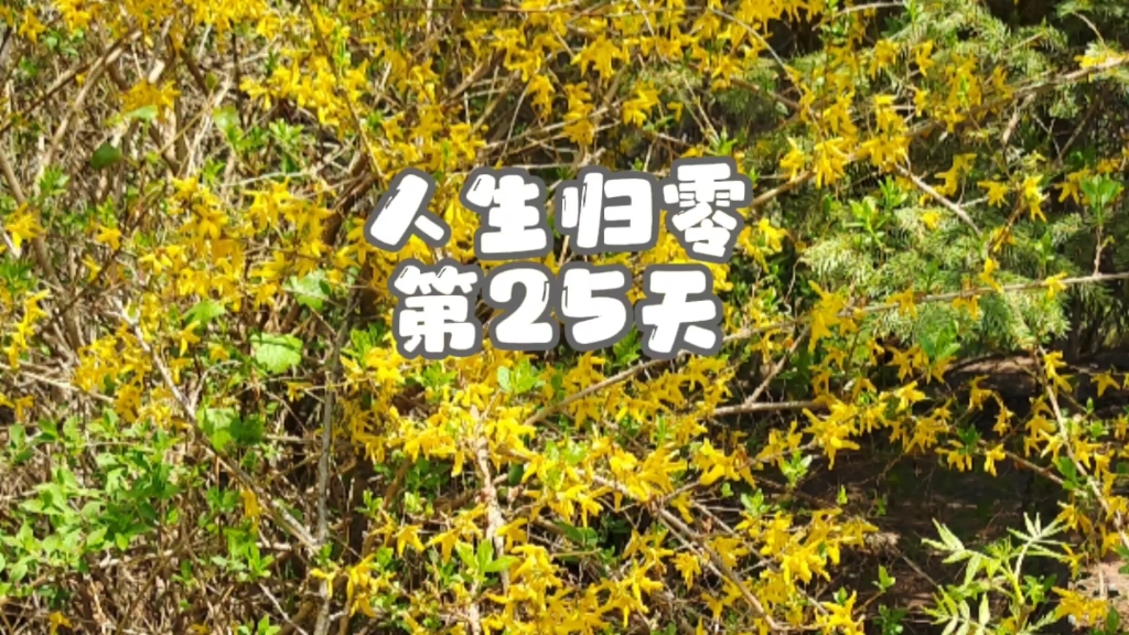 人生归零第25天特殊时期也要照顾好自己