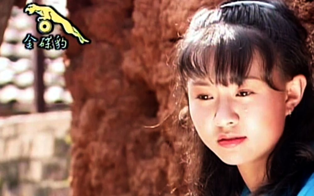 小城故事(卓依婷vs凌一惠) - 金碟豹dvd音频替换版_哔哩哔哩 (゜-゜)