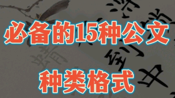 笔杆子高手必备的15种公文种类格式哔哩哔哩bilibili