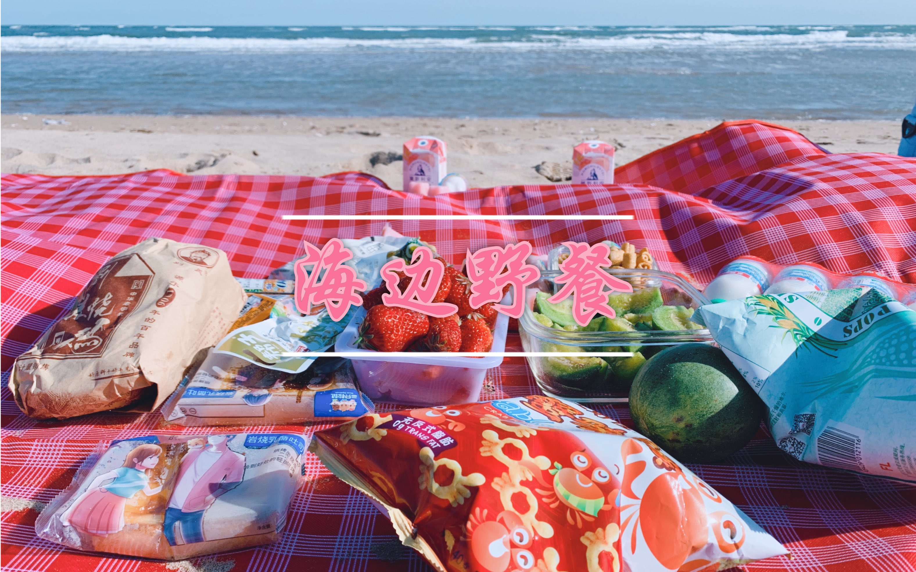 【野餐】 沙滩 海浪 海边野餐