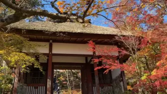 宝严院 红叶 京都 岚山天龙寺 宣传片 油管搬运 哔哩哔哩 Bilibili