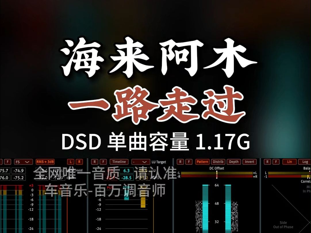 流行热歌,海来阿木《一路走过》DSD完整版1.17G,百万调音师专业录音棚制作,顶级hifi无损音质哔哩哔哩bilibili