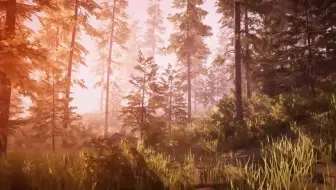 【Unity】unity使用免费资产创建森林场景