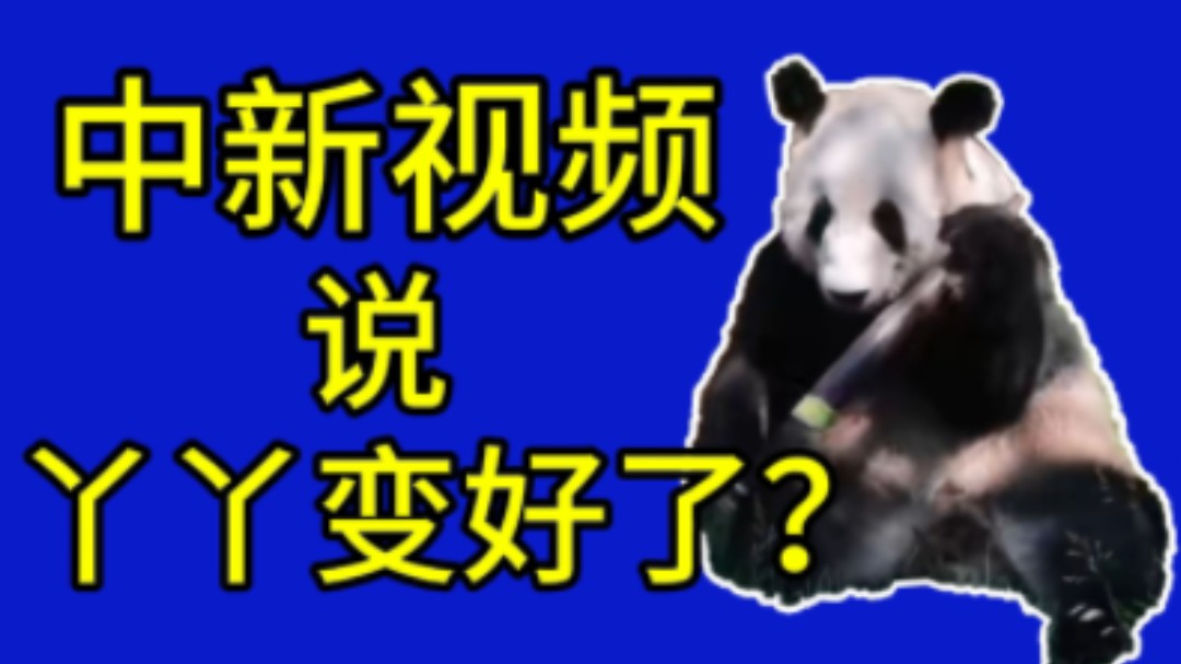 【网络热门熊猫谣言鉴定】中新视频说丫丫变好了,可是你为啥要断章取义呢?哔哩哔哩bilibili