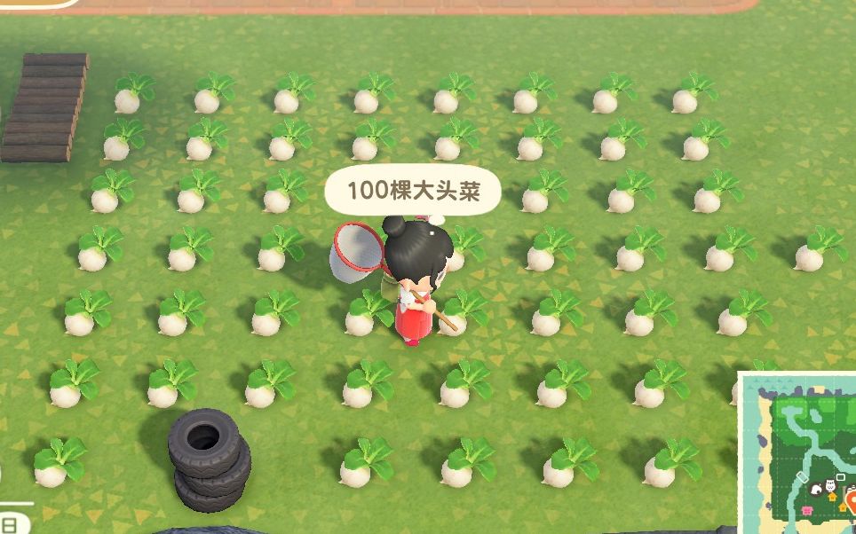 【团子/动物森友会】大头菜大头菜!什么?大头菜熔断了!