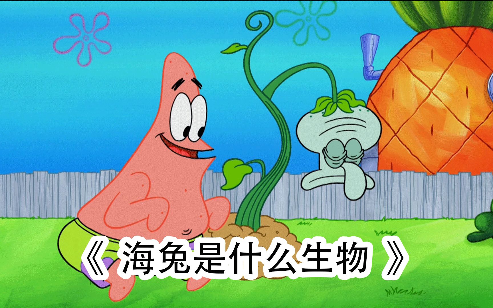 海兔是什么生物(海绵宝宝)