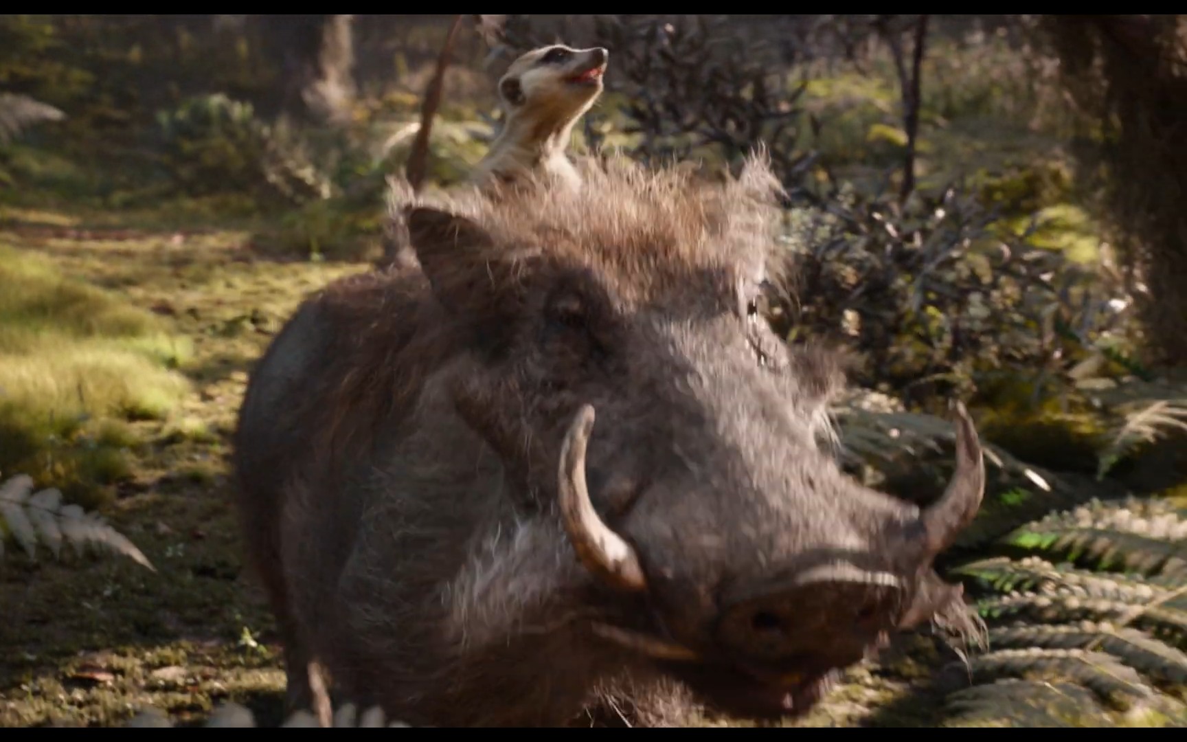 迪士尼真人版《狮子王》最新预告片,彭彭和丁满亮相!