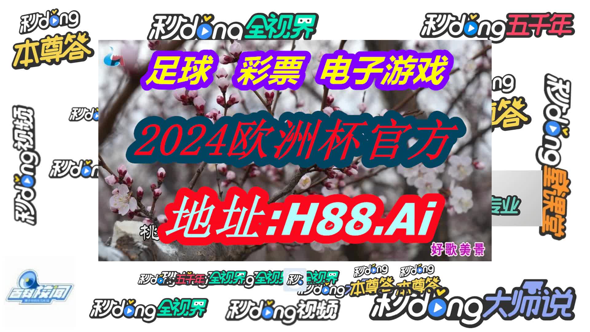 澳门今晚开特马 开奖结果78期(哔哩哔哩)011期