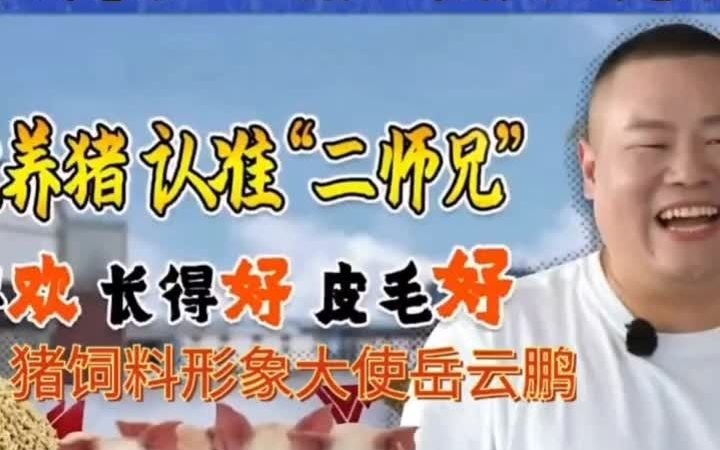 德云社爆笑名场面 岳云鹏代言猪饲料哔哩哔哩bilibili