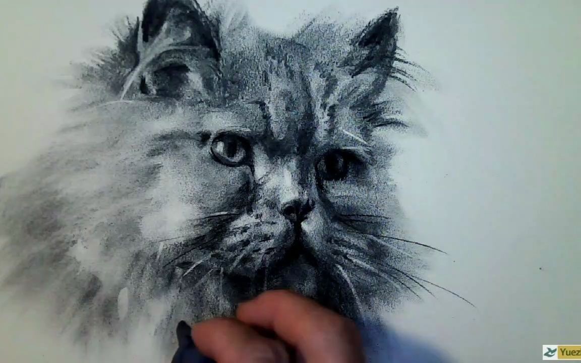 如何用木炭条和炭笔画动物素描第31篇_哔哩哔哩_bilibili