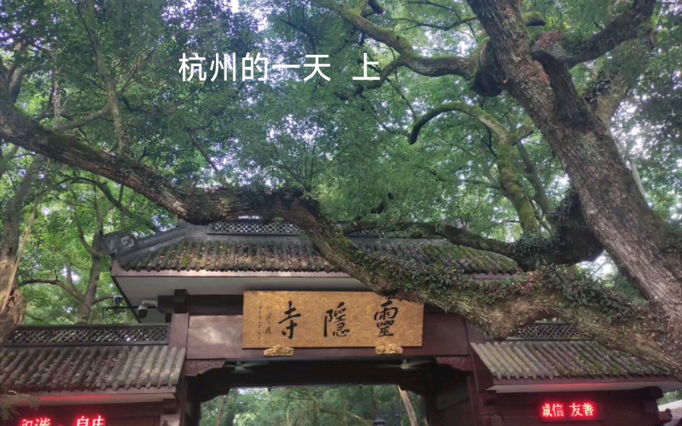 杭州的一天从灵隐寺开始 6点多就已经有不少人了 飞来峰 灵隐寺 永福寺 韬光寺 天下第一财神庙哔哩哔哩bilibili