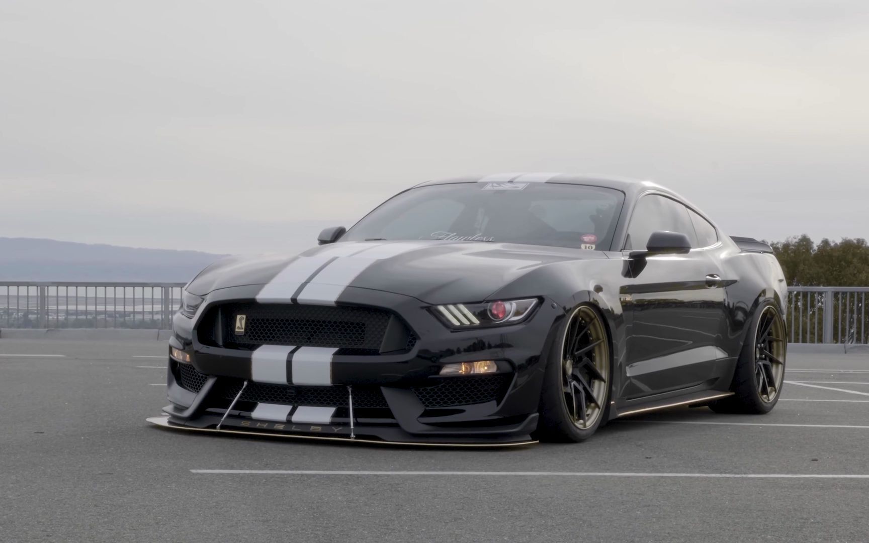 亮出毒牙路面怪兽福特谢尔比gt350