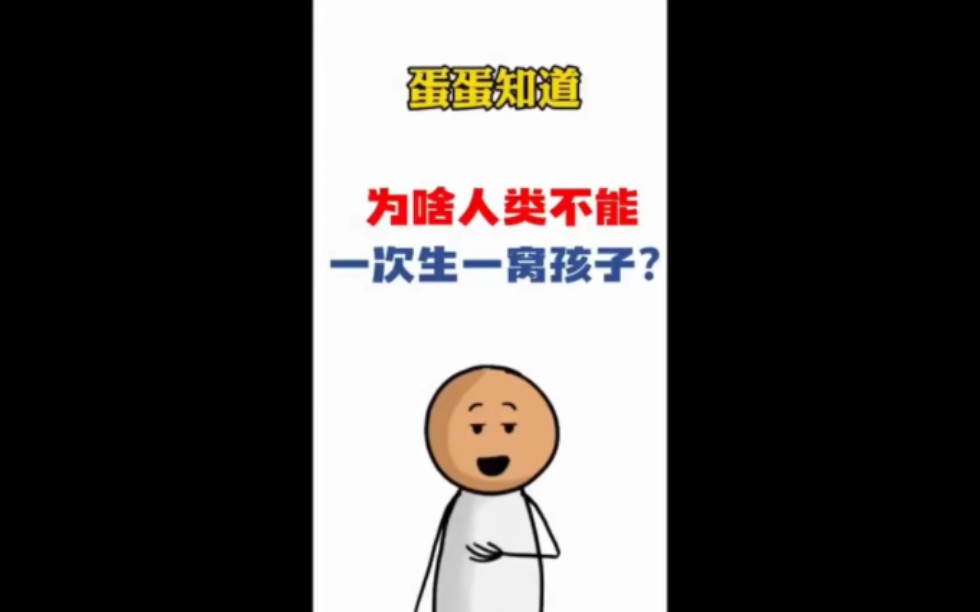 你知道大便是什么味道吗?哔哩哔哩bilibili