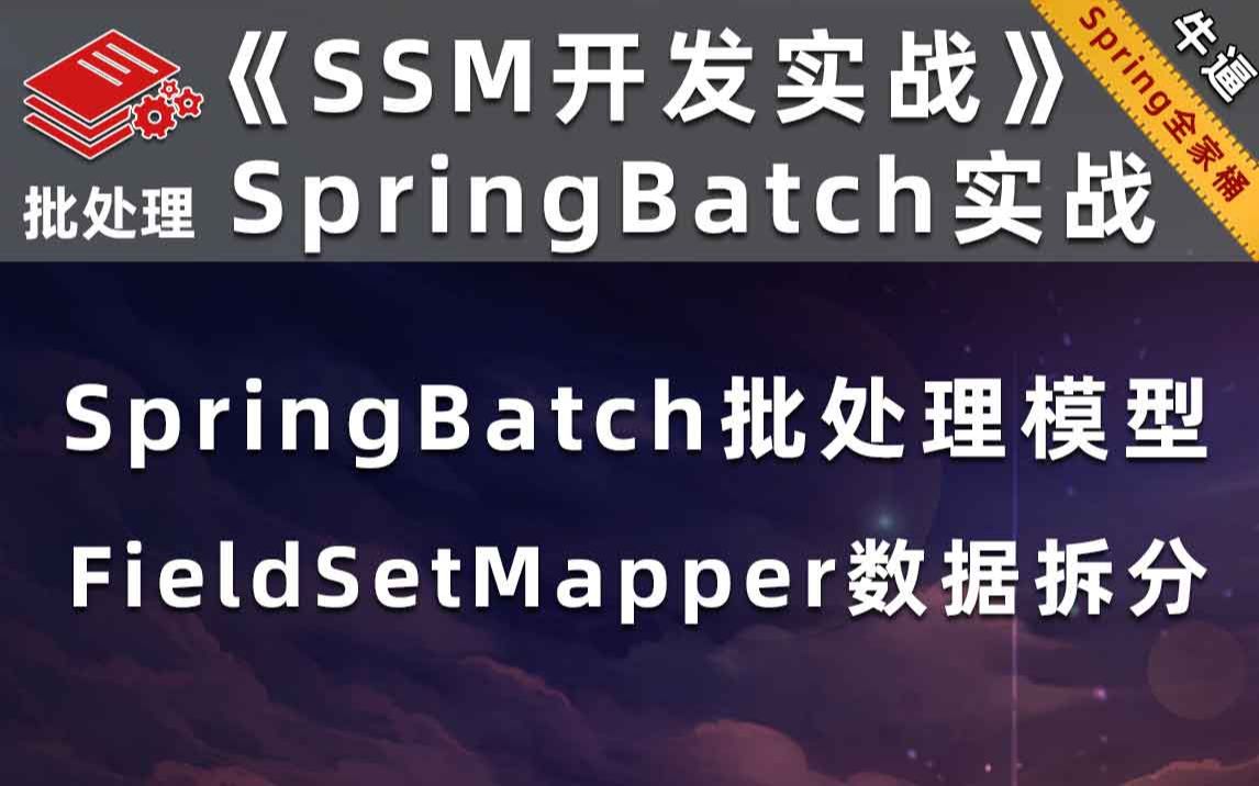 FieldSetMapper【SpringBatch数据批处理、JavaSSM开发实战】哔哩哔哩bilibili