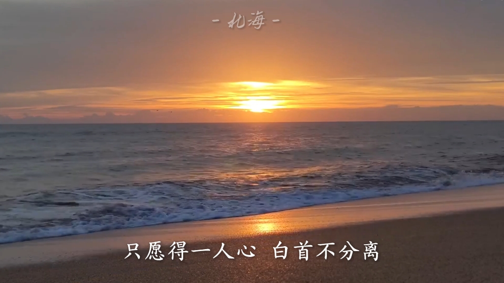 翻唱【愿得一人心】|只愿得一人心,白首不分离