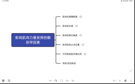 骨骼肌运动原理影响 肌肉力量发挥的解剖学因素哔哩哔哩bilibili