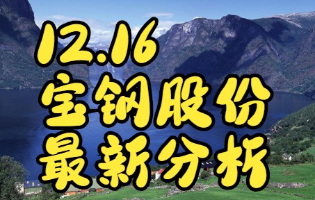 12.16—宝钢股份,主力资金最新情况,如何判断低吸信号?哔哩哔哩bilibili