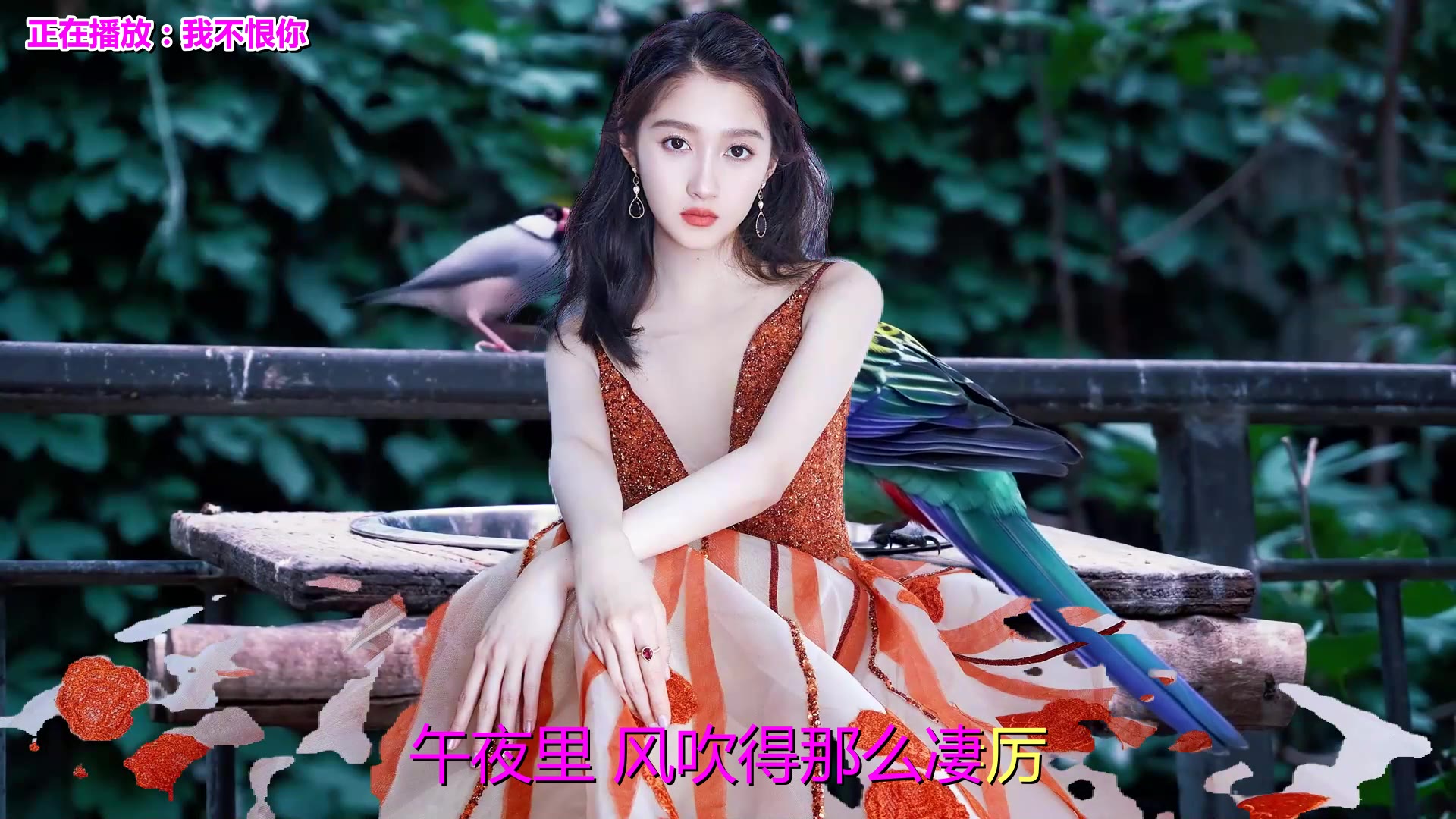 经典老歌曲大全500首《我不恨你》