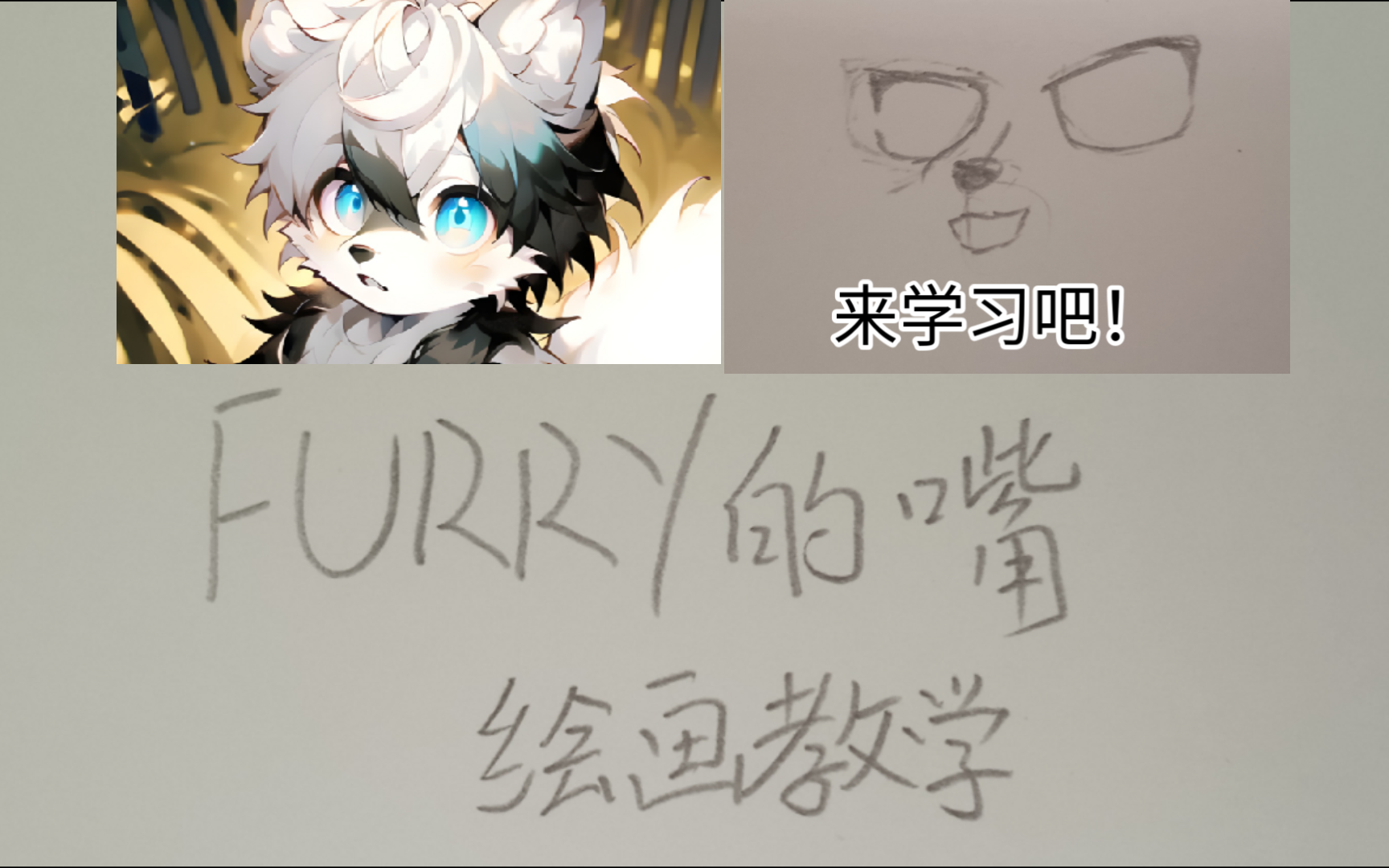 [furry绘画教学]福瑞的嘴怎么画?哔哩哔哩bilibili