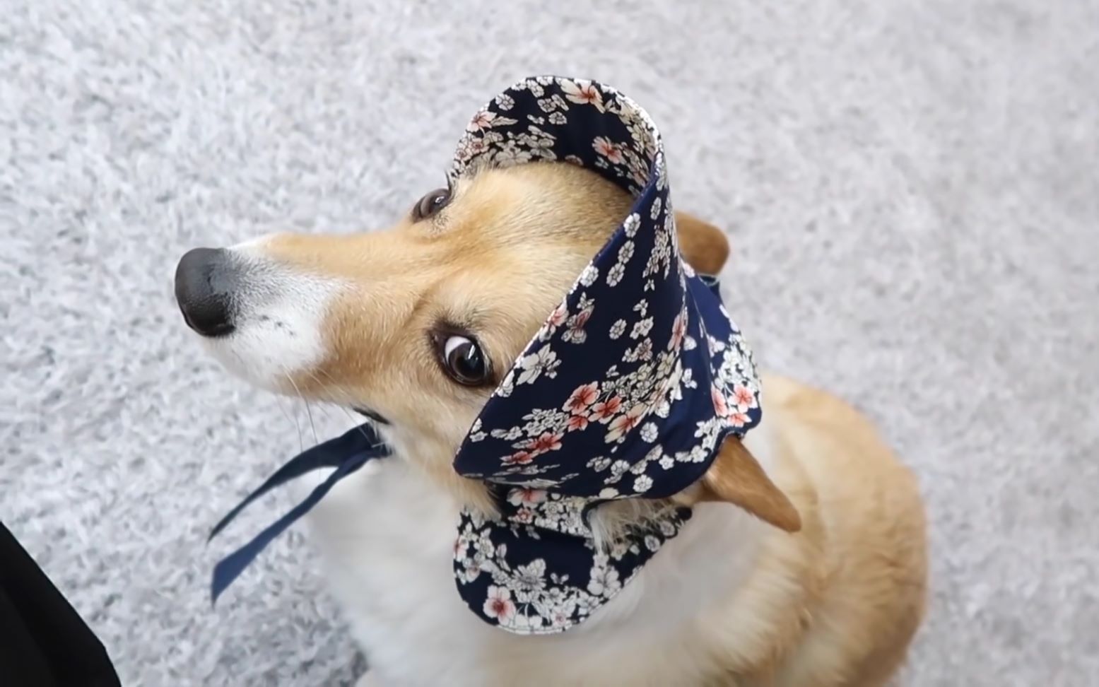 【边伯贤的梦龙】听到伯贤说要走了,梦龙笑容逐渐消失_哔哩哔哩_bili