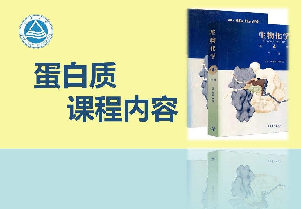 江南大学生物化学氨基酸 核酸 部分课程北辰学长哔哩哔哩bilibili