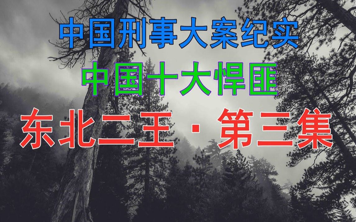 [图]中国十大悍匪 | 东北二王 | 第三集 | 中国刑事大案纪实 | 刑事案件要案记录