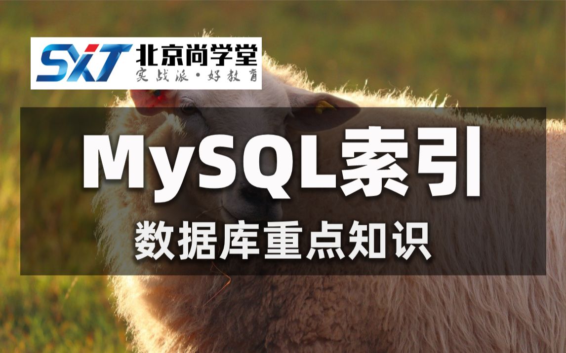 最新100分钟详细MySQL索引入门教程MySQL索引看这篇这就够了事务的并发问题及其隔离级别MySQL面试题讲解MySQL索引的使用【尚学堂】哔哩...