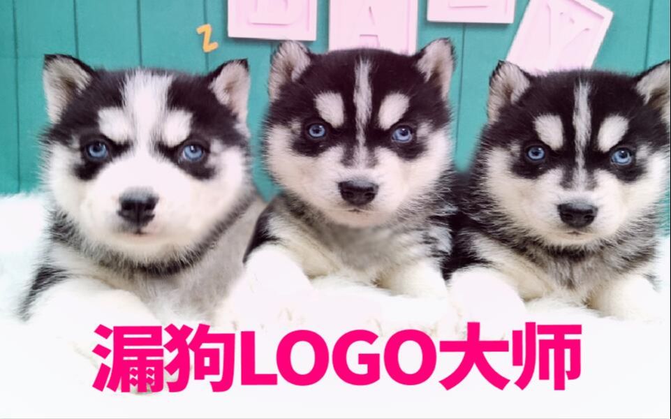 【全套教程】5个步骤轻松搞定品牌logo设计,简单实用,适合零基础!!哔哩哔哩bilibili