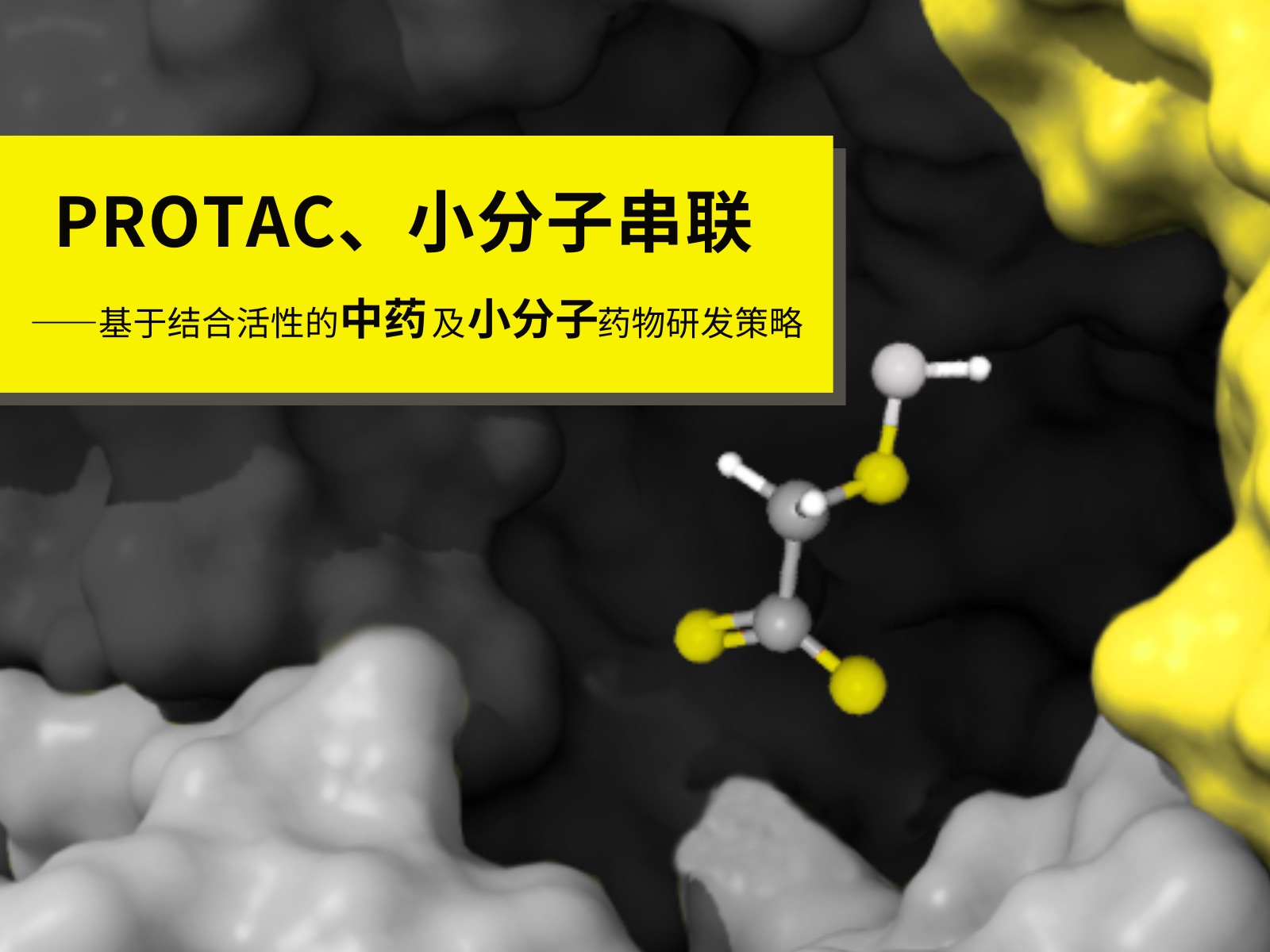 生物层干涉术(BLI)应用实例:PROTAC、小分子串联竞争哔哩哔哩bilibili