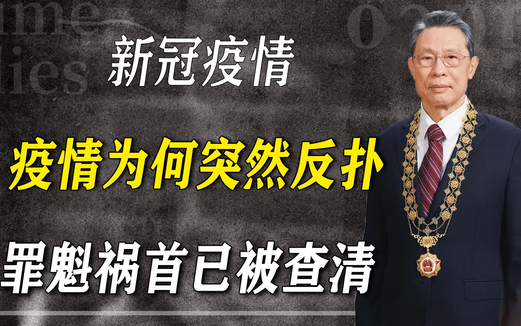 疫情为何会这么严重?“罪魁祸首”已被揪出,钟南山请愿令人泪目哔哩哔哩bilibili