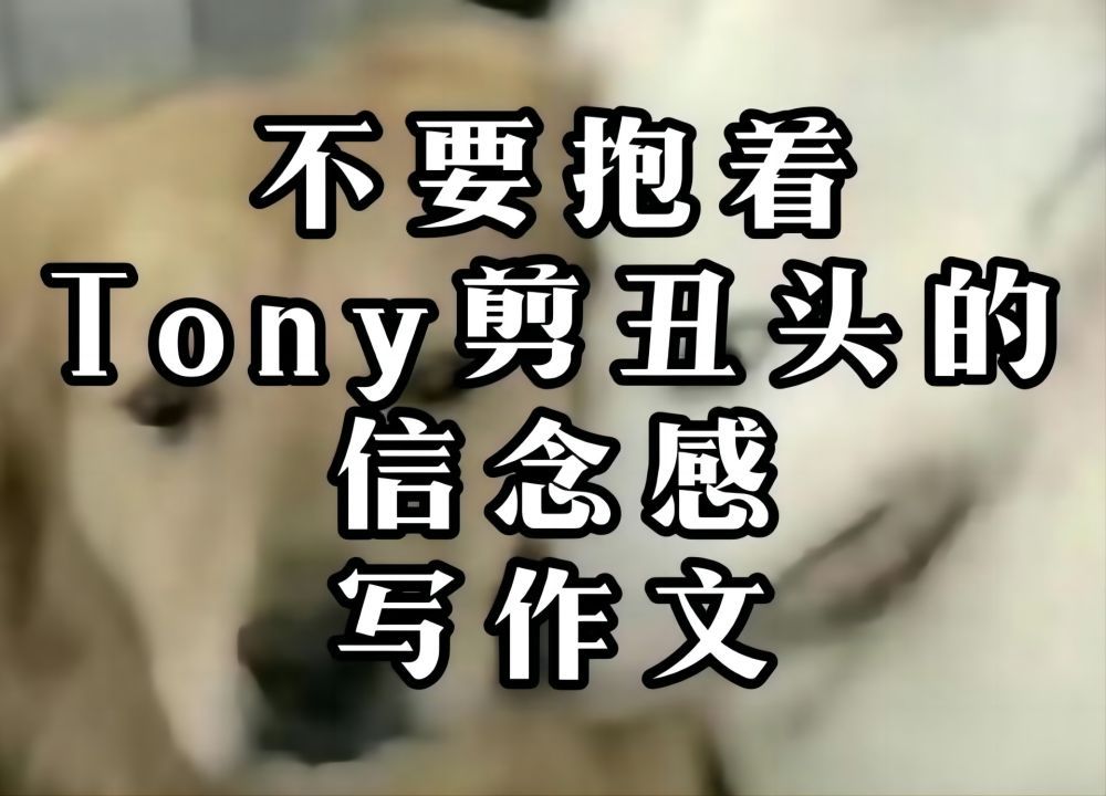 【干货】作文捞分技巧——千万别有Tony的信念感哔哩哔哩bilibili