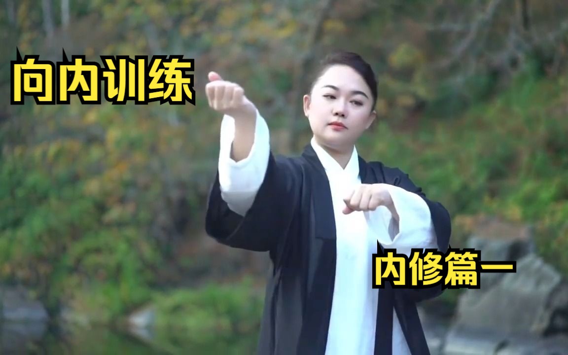 《太极芸庄》向内训练太极拳(内修篇一)哔哩哔哩bilibili