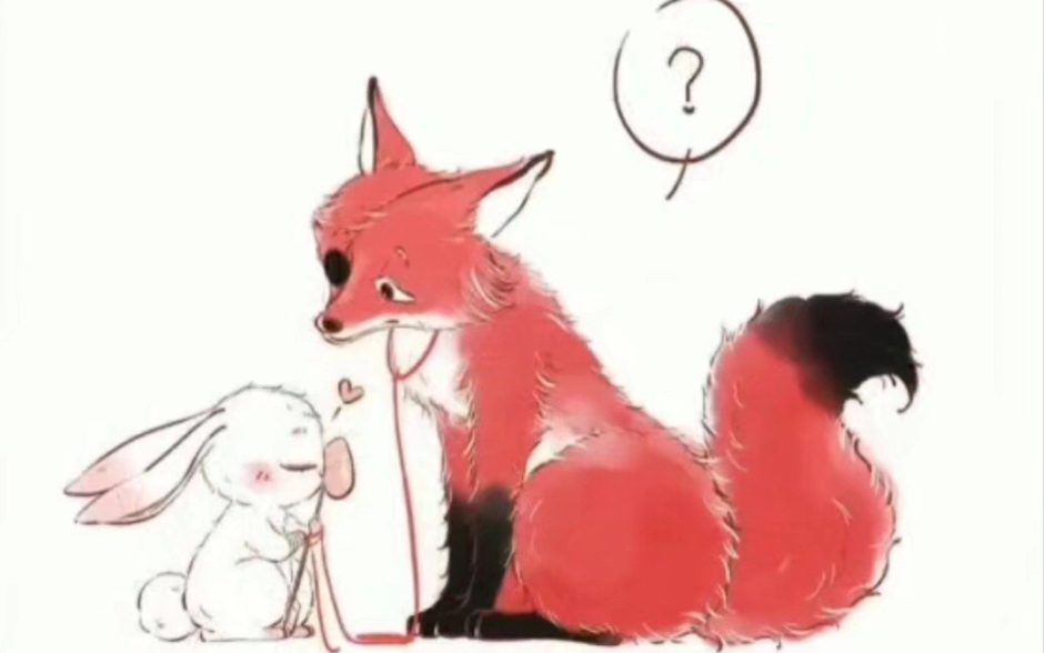 【花怜】当花城谢怜变成小动物后_哔哩哔哩_bilibili