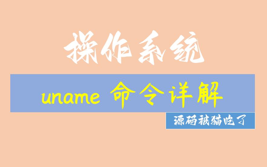 uname 命令详解(Linux;操作系统)哔哩哔哩bilibili