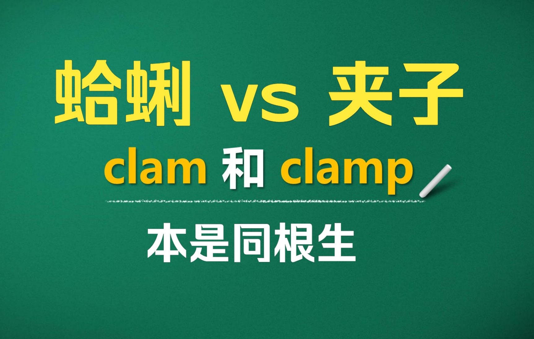 猫头鹰讲单词:clam和clamp | 蛤蜊和夹子,本是同根生.哔哩哔哩bilibili