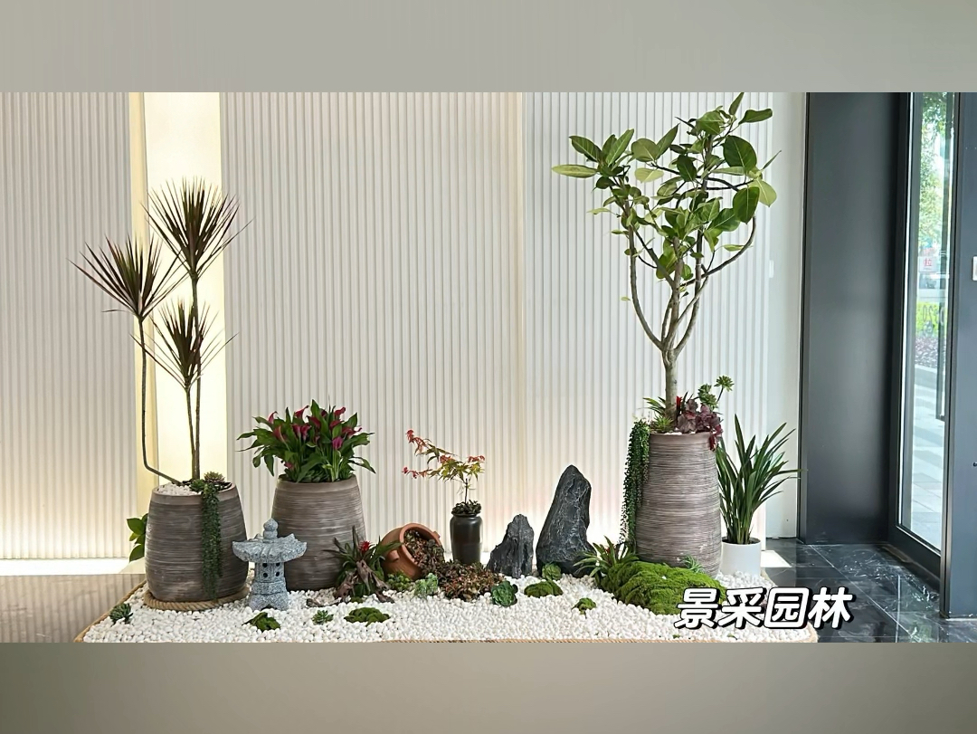打造属于您的专属精致绿植空间,公司一角绿植景观