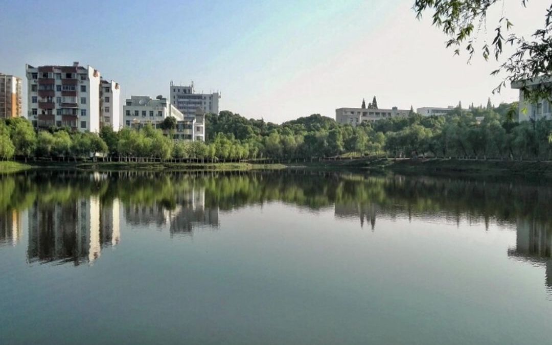 优秀!芜湖职业技术学院牵头建设多项国际职业标准哔哩哔哩bilibili