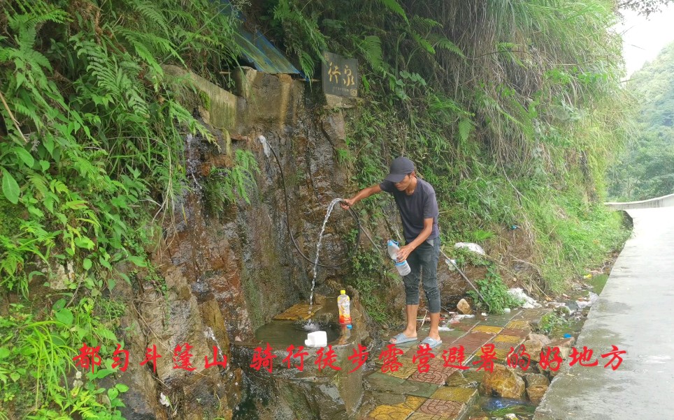 [图]我把单车骑进深山露营避暑，村民的小狗来蹭饭