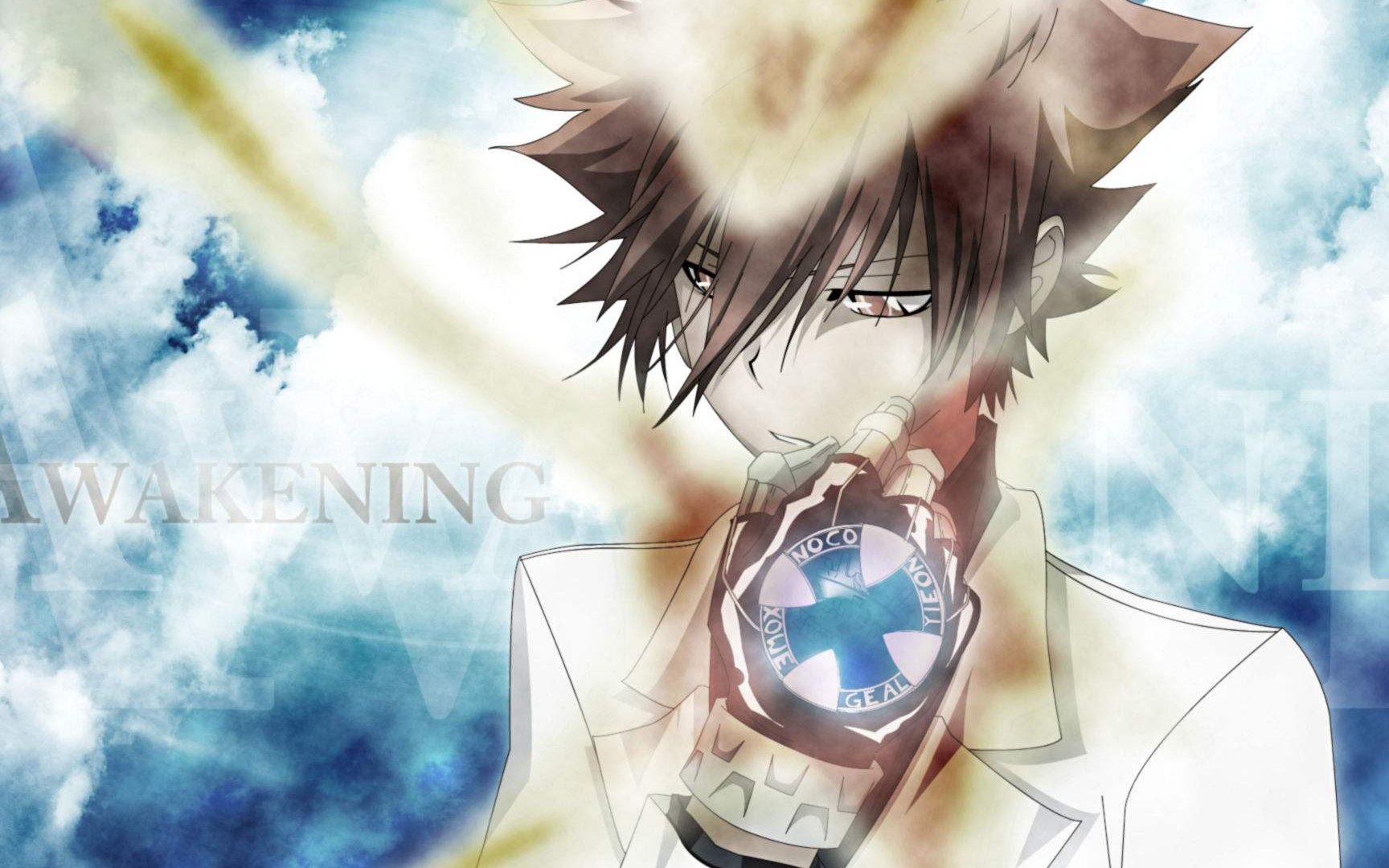 茶会300英雄沢田纲吉基础攻略指环上铭刻着我们的光阴