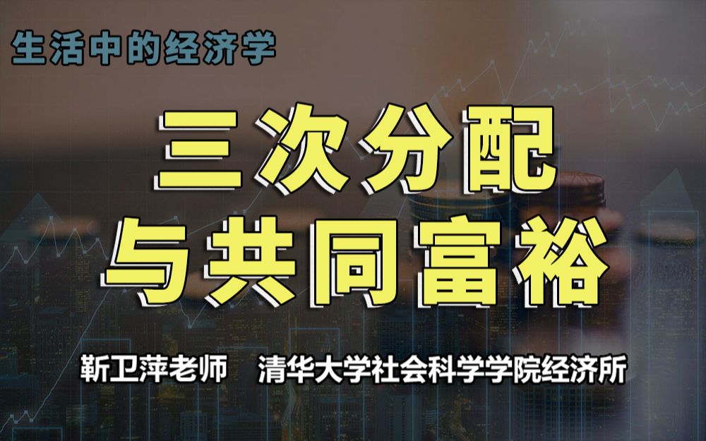 【清华大学靳卫萍】三次分配与共同富裕 | 生活中的经济学哔哩哔哩bilibili