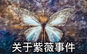 Download Video: 关于紫薇事件